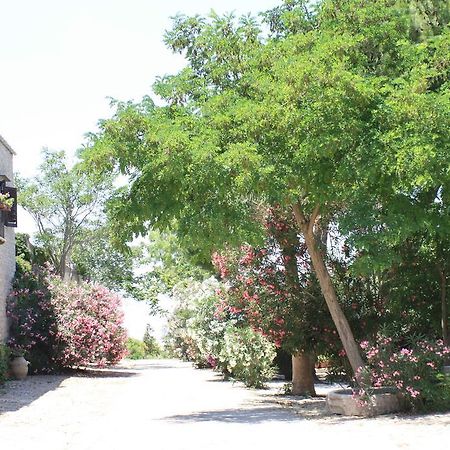 Agriturismo Ridocco 코흘레온 외부 사진