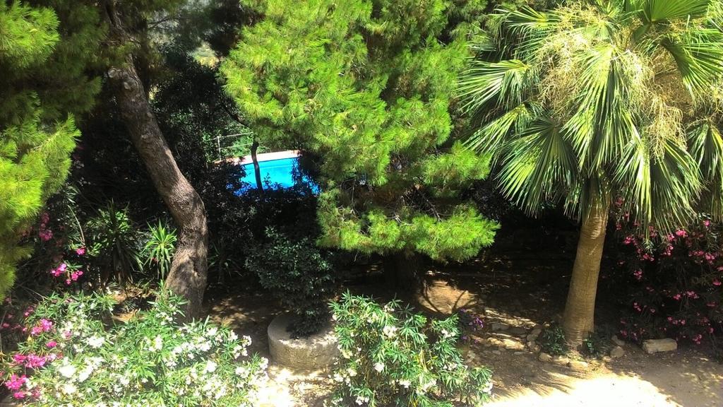 Agriturismo Ridocco 코흘레온 외부 사진